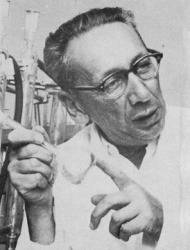 Zvi Avidov