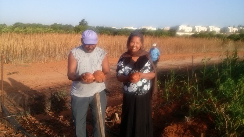 farmers