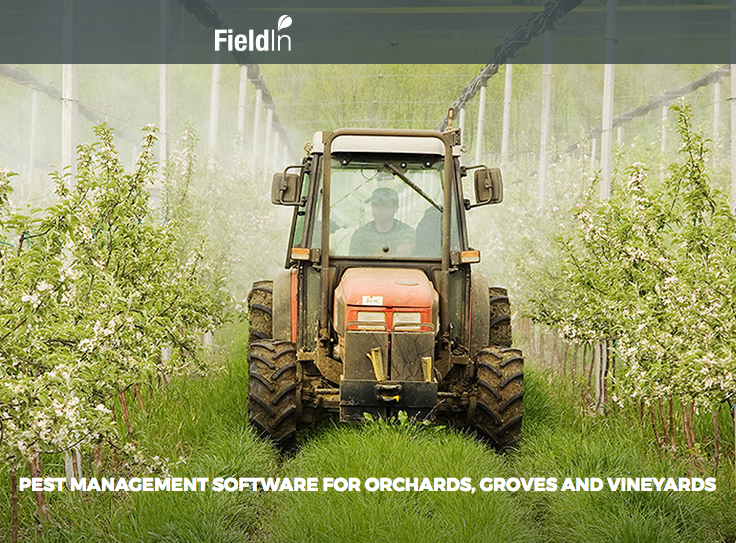 fieldin