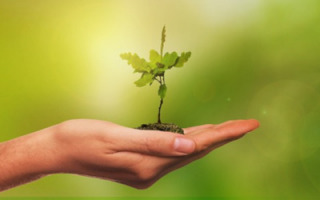 does-direct-democracy-help-the-environment.jpg