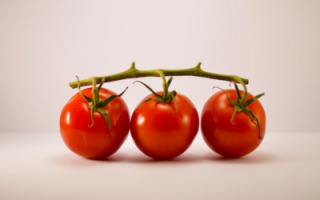 drought-tolerant-tomatoes.jpg