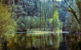 new-model-for-water-allocation.jpg