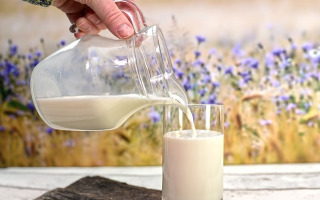 the-role-of-fat-globules-in-milk.jpg