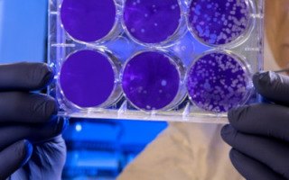 the-role-of-toxins-in-fighting-bacteria-and-fungi.jpg