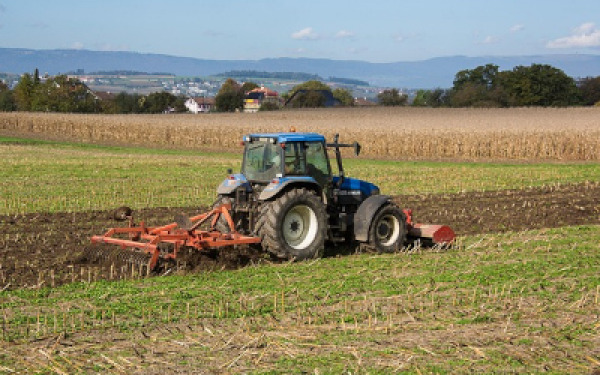 Can Israel Become Fully Food Self-Sufficient? can-israel-become-fully-food-self-sufficient.jpg