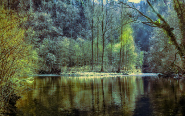 A New Model for Water Allocation Policies new-model-for-water-allocation.jpg