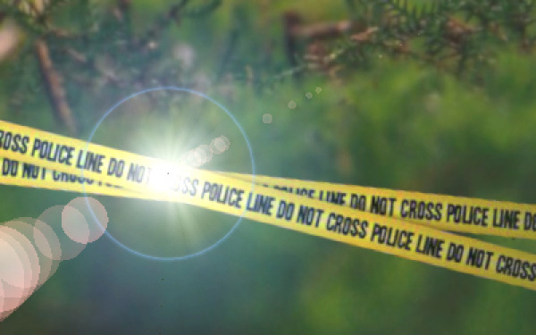 Molecular Genetics for Solving Environmental Crimes Against Wildlife wildlife-crime-scene.jpg