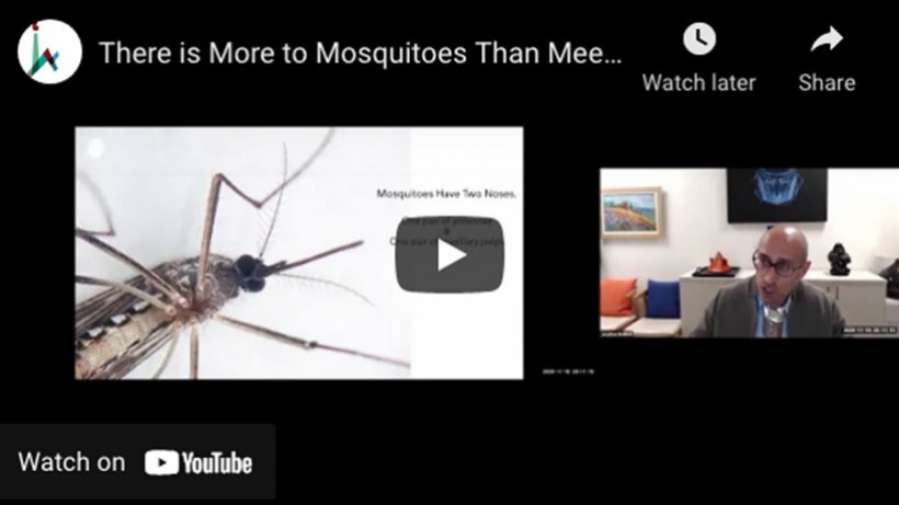 More to Mosquitoes Than Meets the Nose