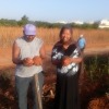 farmers