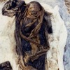 mummy