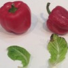 veg